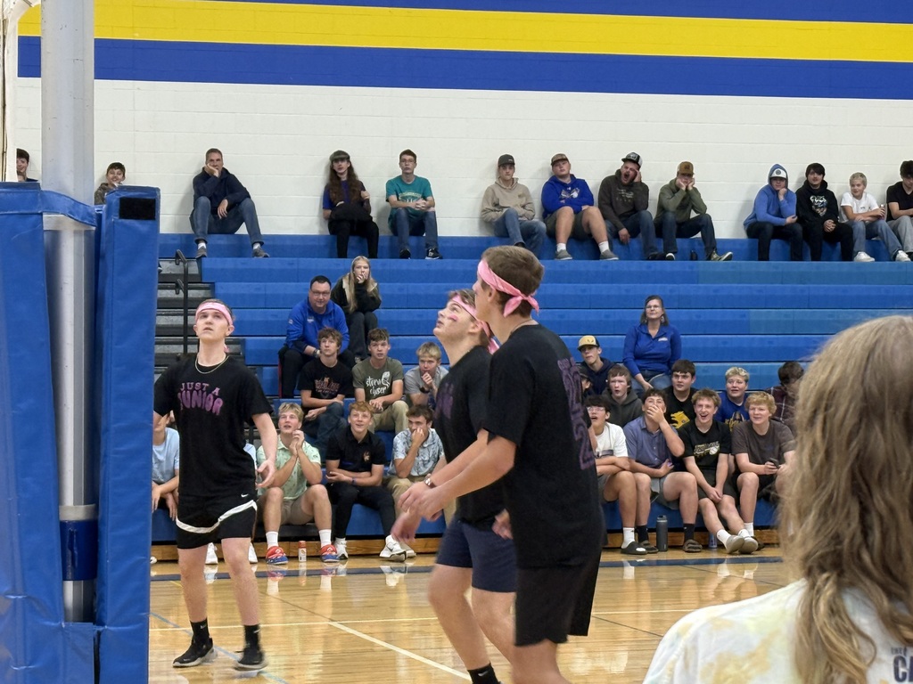 vb