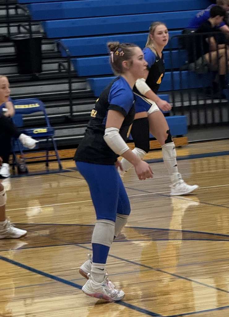 vb