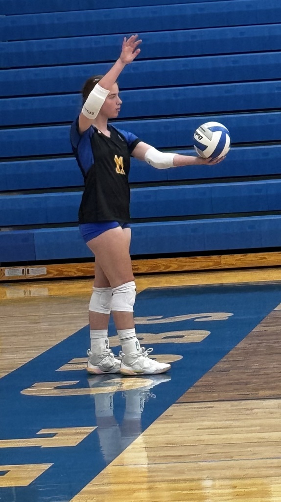 vb