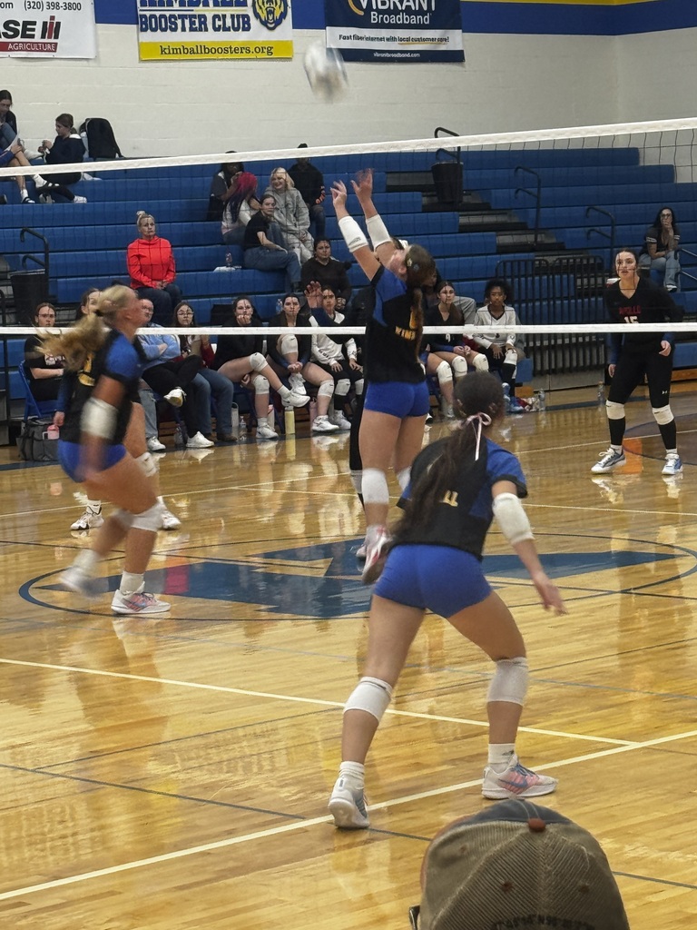 vb
