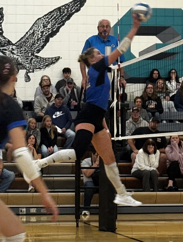 VB
