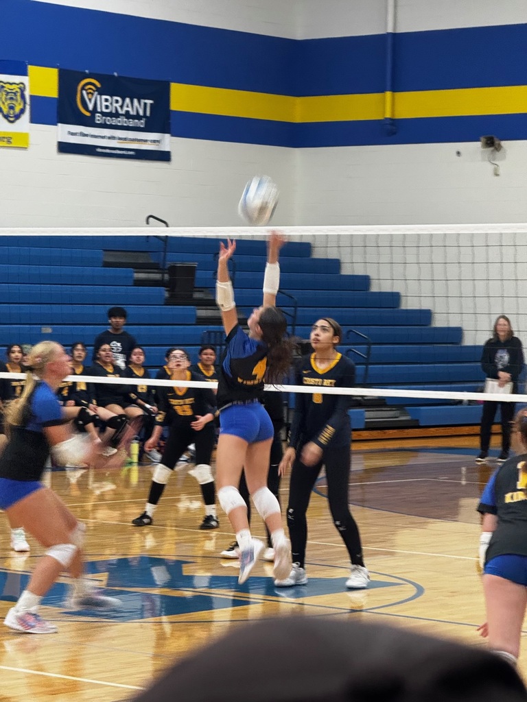 vb
