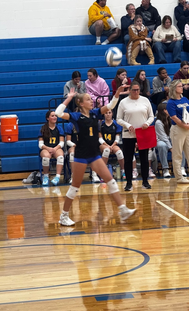 vb