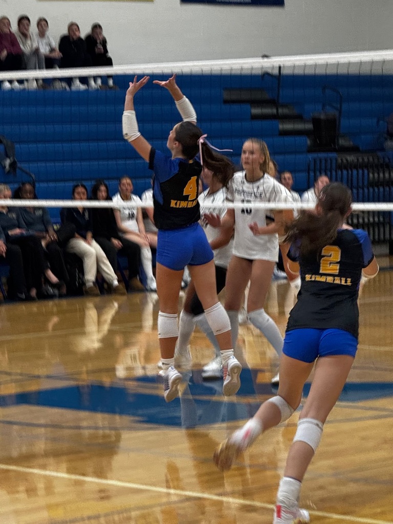 vb