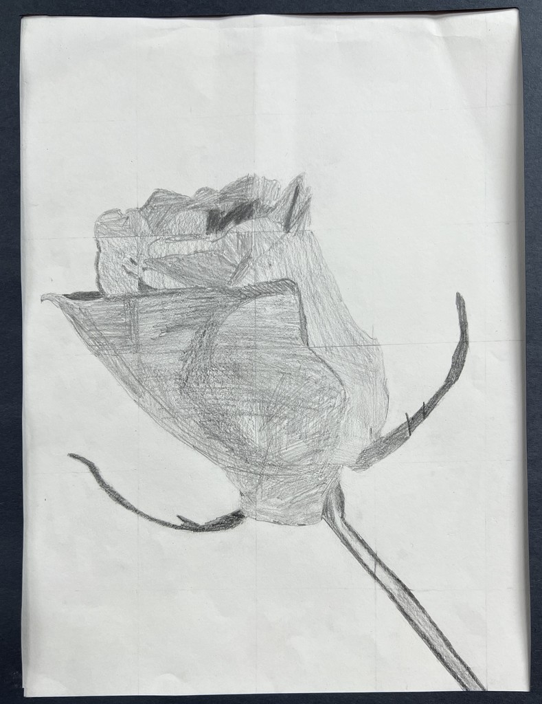 Mackenzy's Drawing