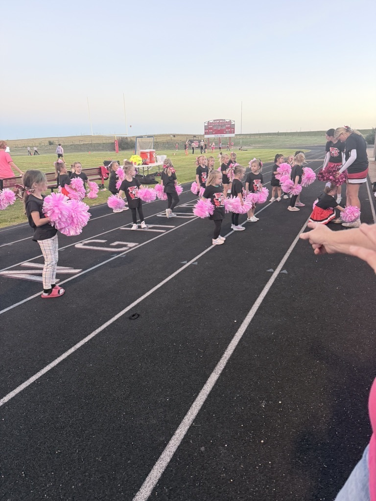 Mini Cheer Camp