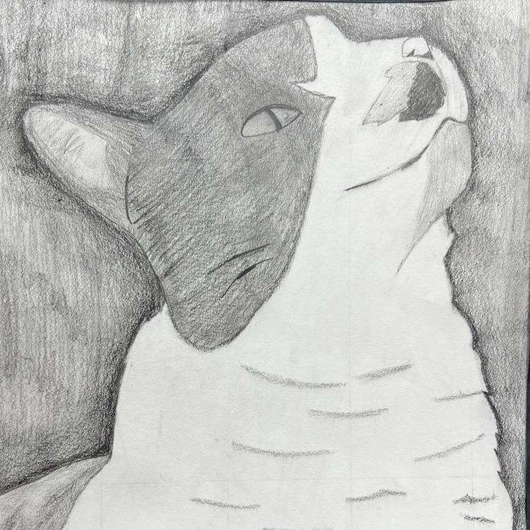 Taryn’s drawing