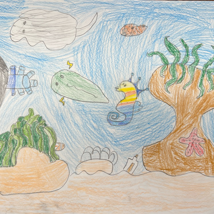 2nd grade Seascape
