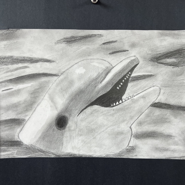 Bailie’s Drawing