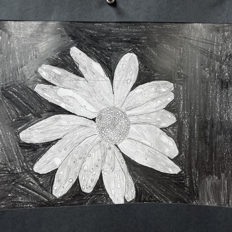 Cashlyn’s Drawing