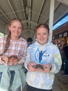 holding painted turtles 