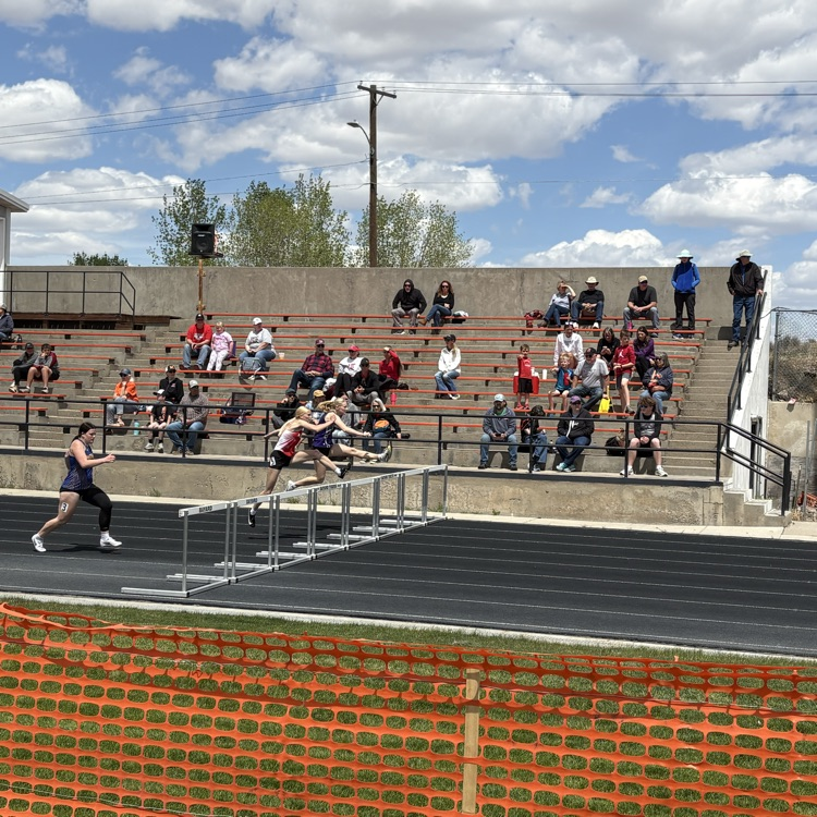 hurdle