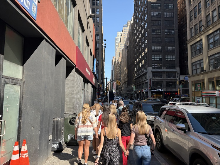 NY7