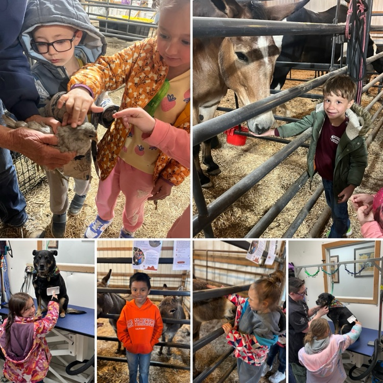 K Field Trip