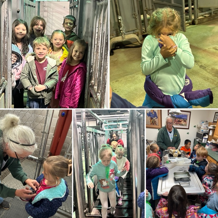 K Field Trip