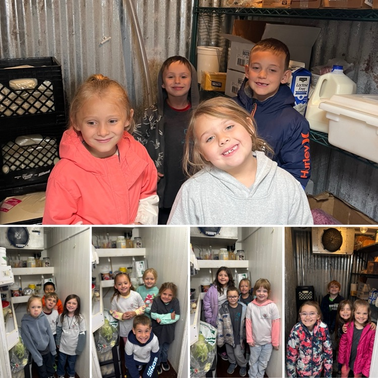 K Field Trip