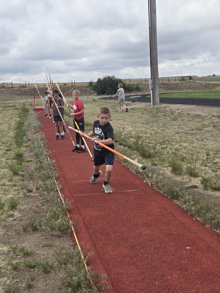 pole vault 1