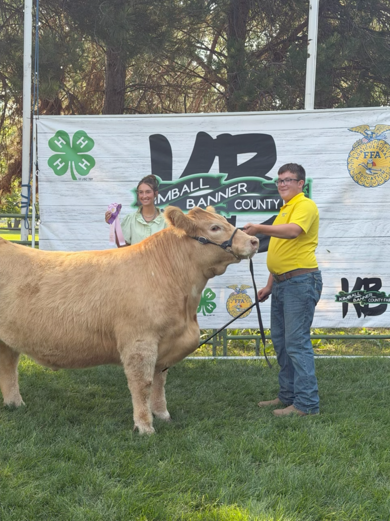 Wyatt Cook Reserve Champion FFA Market Beef