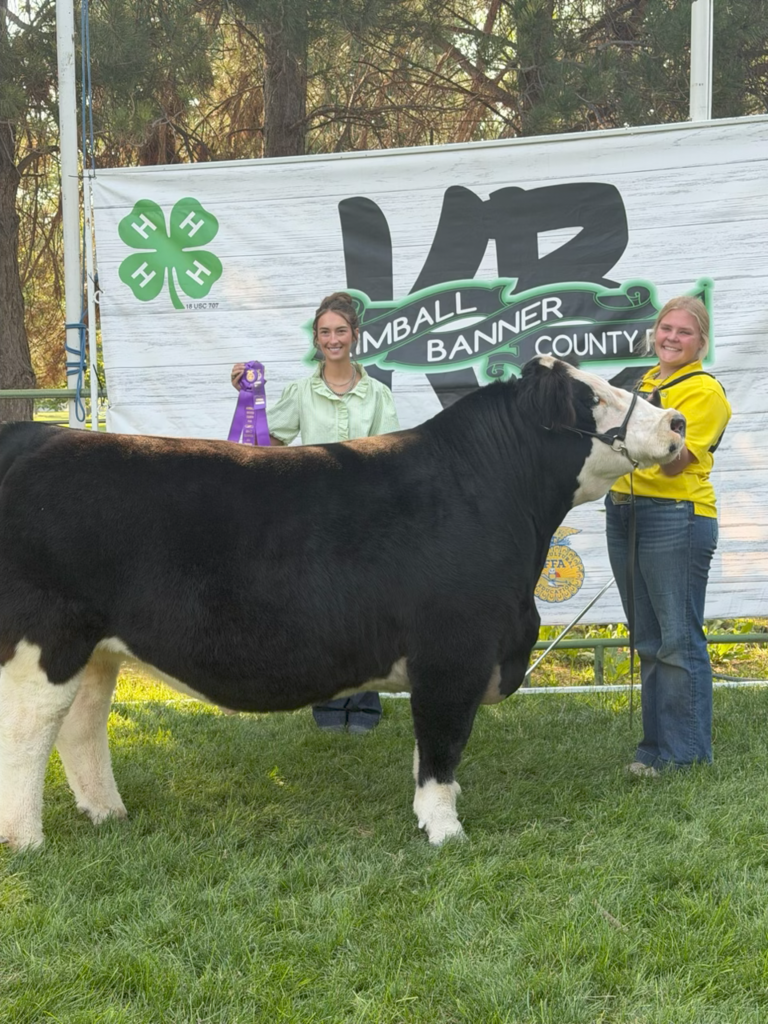 Aubrey Culek Grand Champion FFA Market Beef