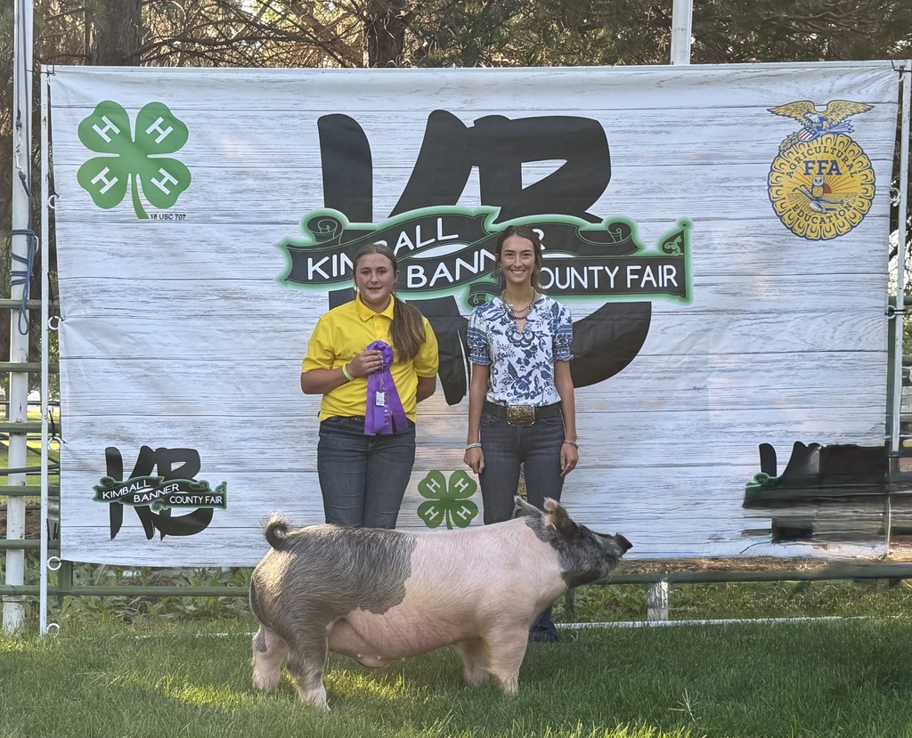 Allie Cook Grand Champion FFA Market Swine
