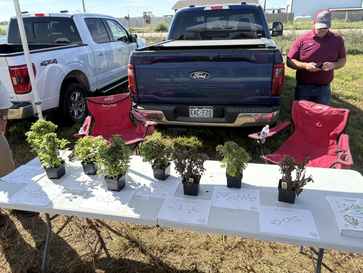 WestCo FFA Day