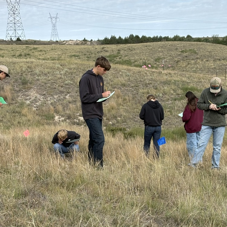 Range Judging