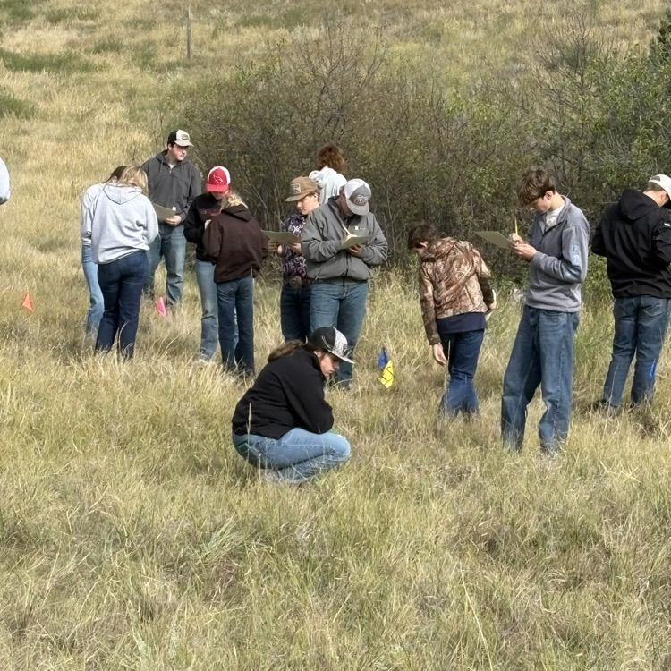 Range Judging