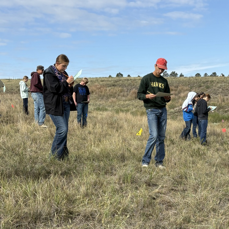Range Judging