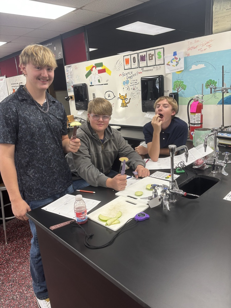 studying oxidation properties of apples