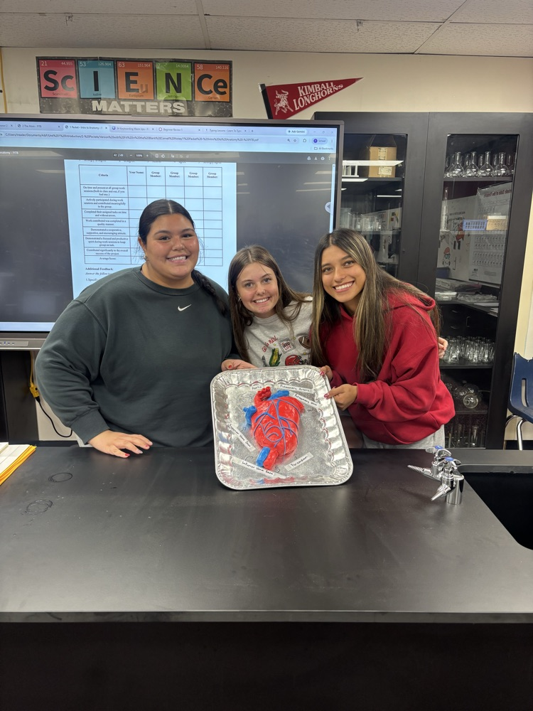 Heart model