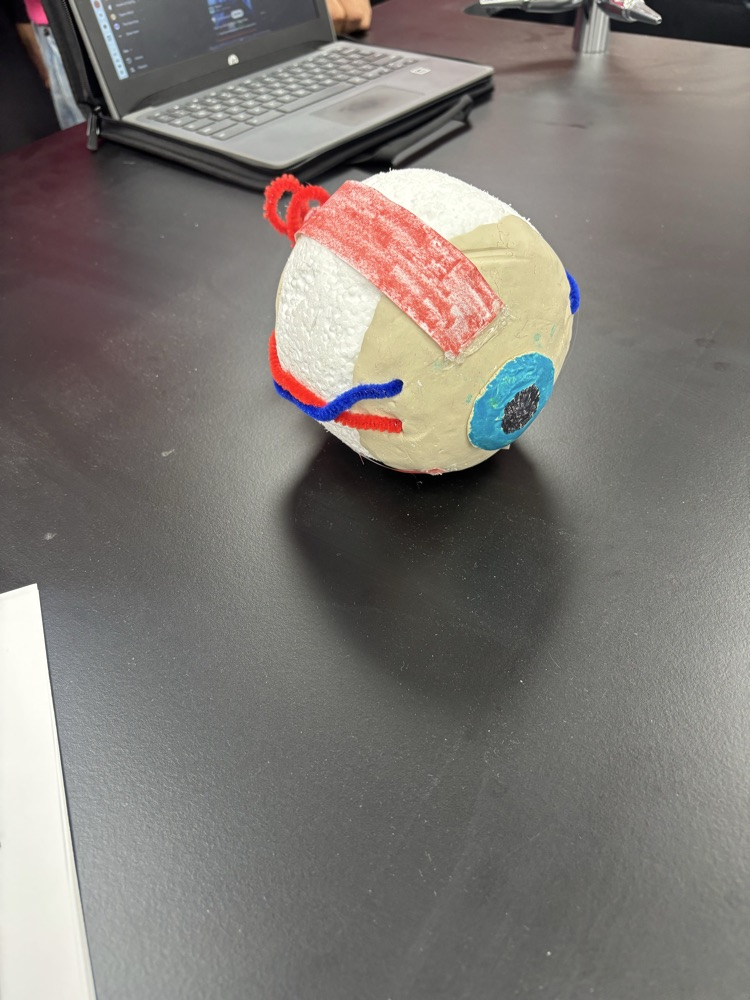 eye model