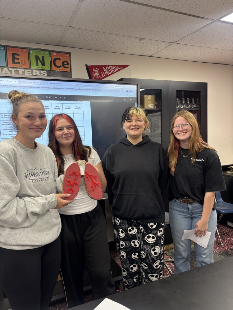 lung model
