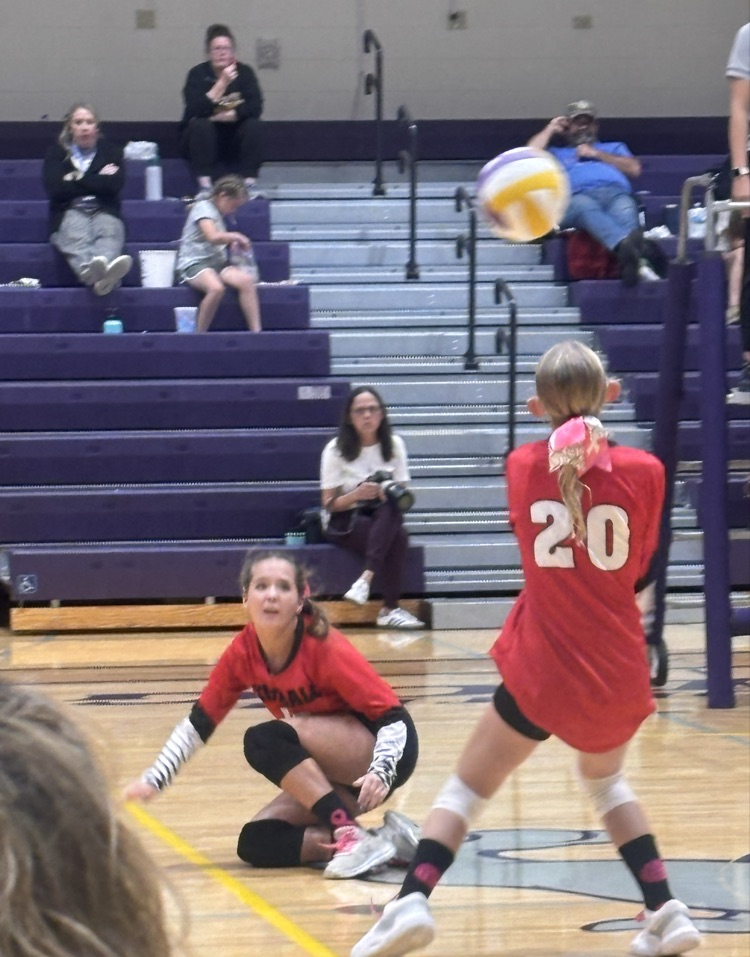 JH VB