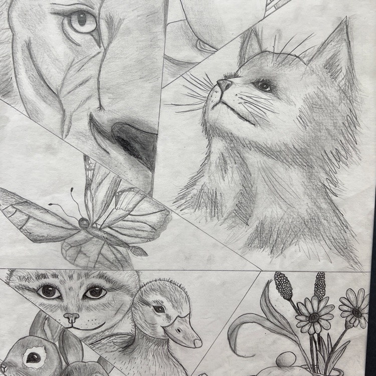 Six drawings: a lion, a cat, a butterfly, a duck, a rabbit, and flowers.