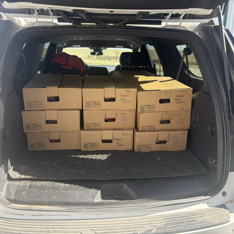 Open back of SUV with 12 stacked boxes visible. Boxes are brown, have handles on top, and have text on them.