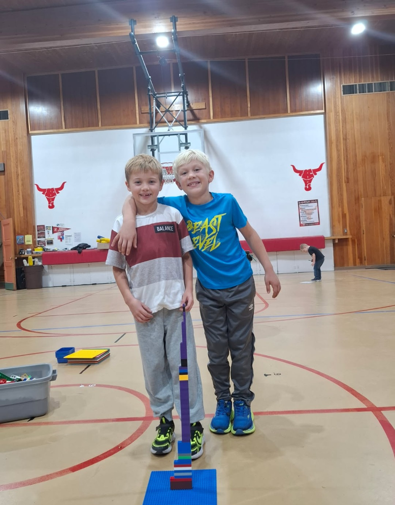 Two boys stand in a gym. One holds a small stick with a ball on it.