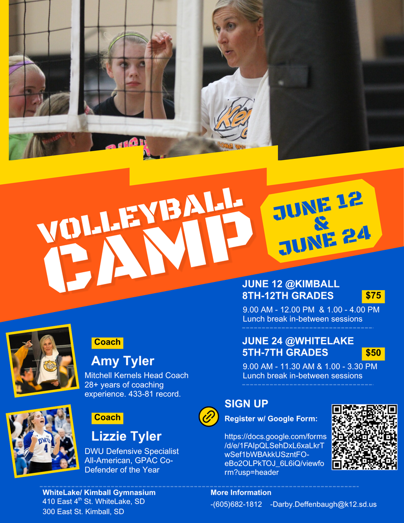 Volleyball Camp