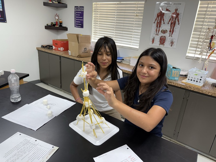 6th grade science