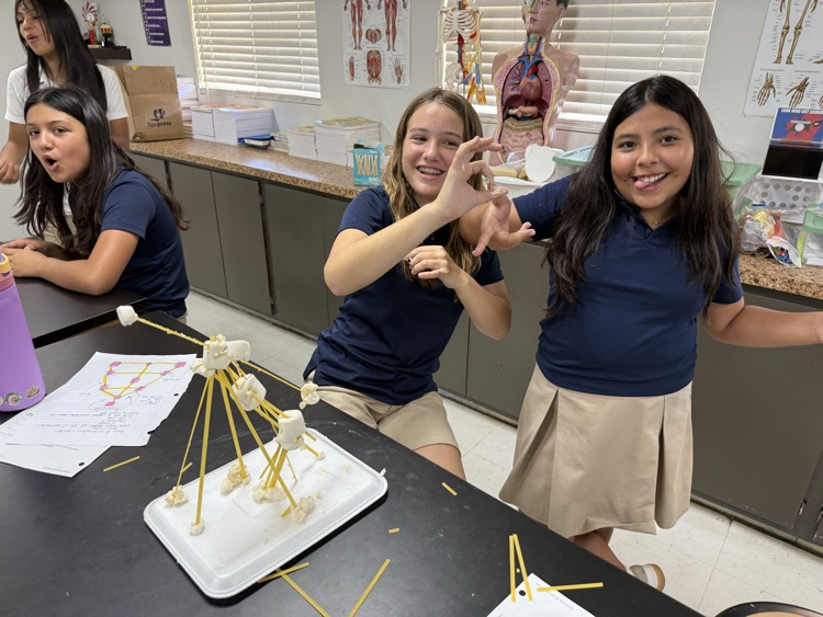 6th grade science