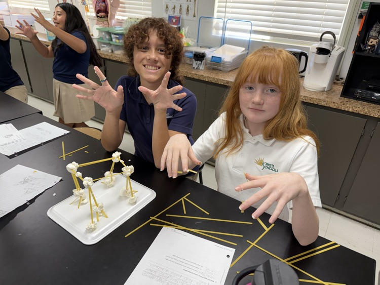 6th grade science