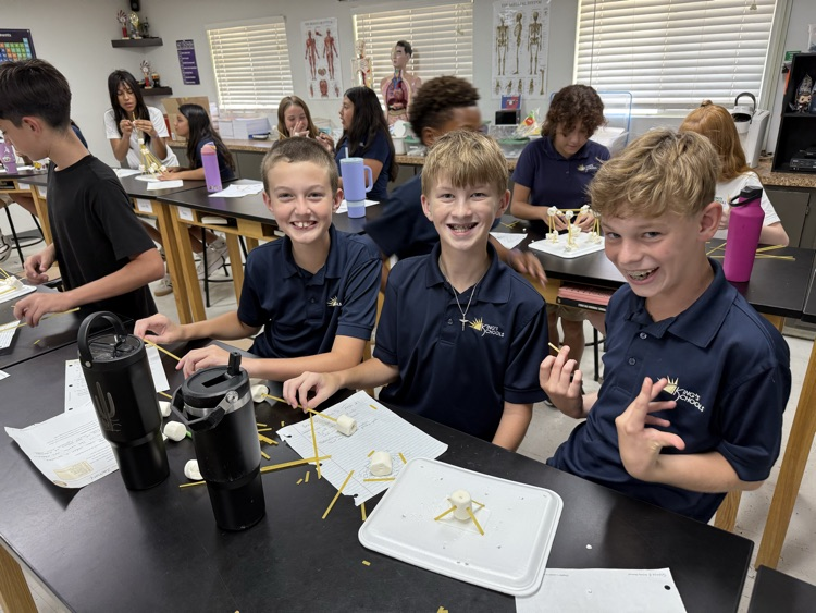 6th grade science