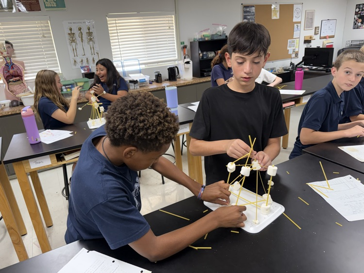 6th grade science