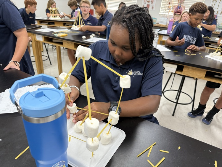 6th grade science