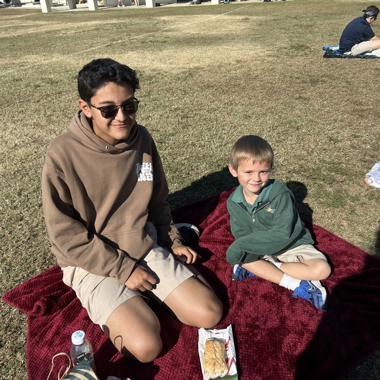 picnic