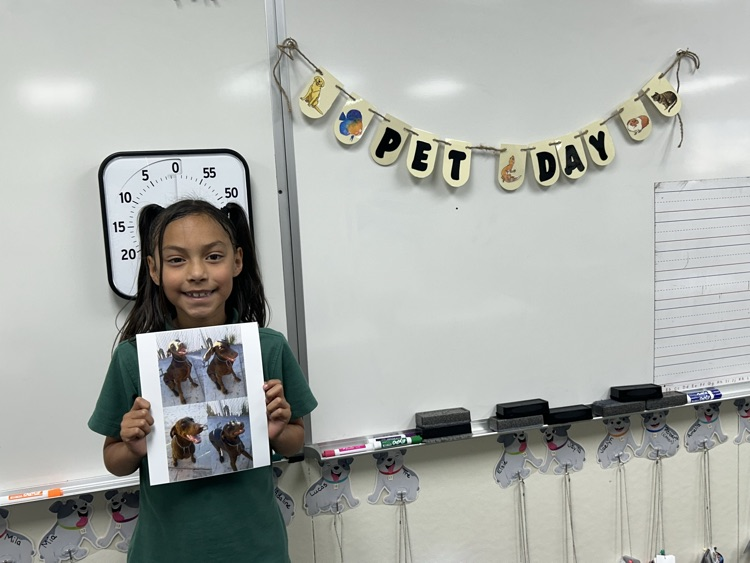 Pet Day