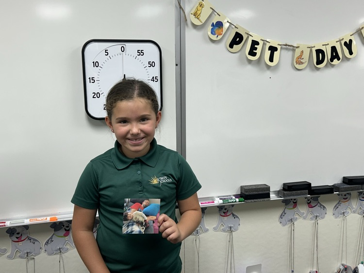 Pet Day