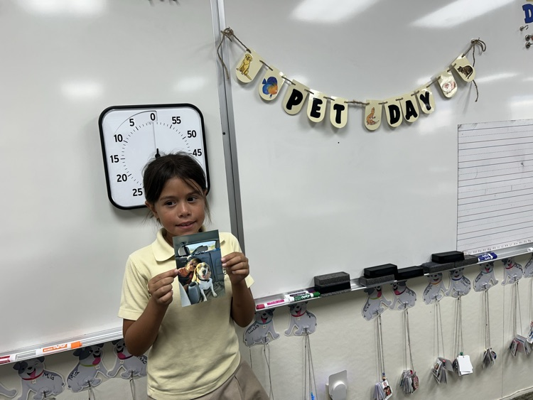 Pet Day