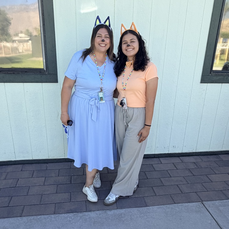 bluey and bingo