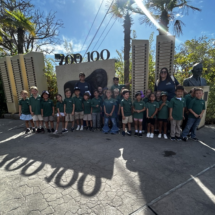 kinder zoo