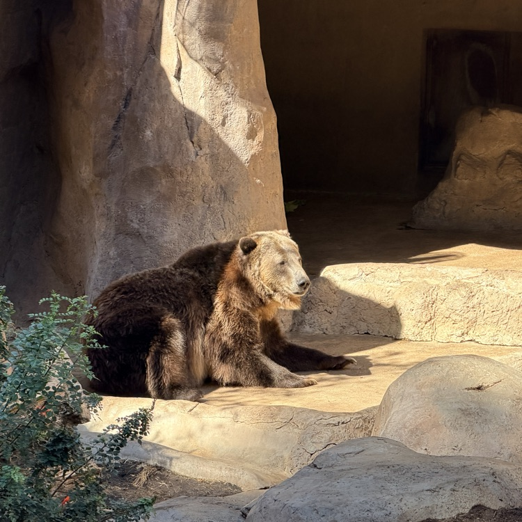zoo